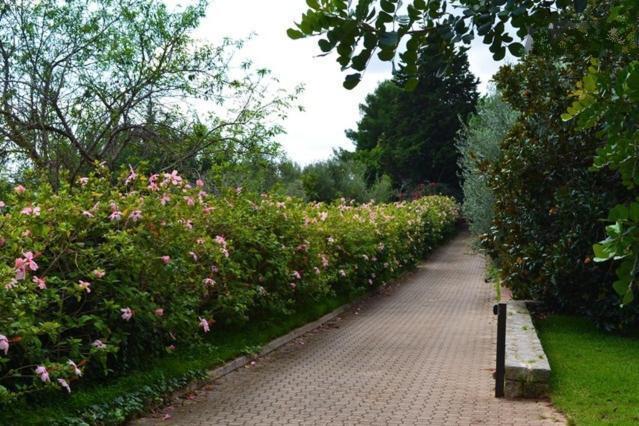 Eurialo Green Suites Belvedere  エクステリア 写真